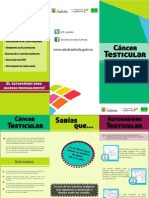 Triptico de Cancer Testicular