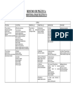 Resumo Sistema Esquelético