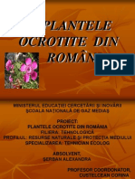 Plantele Ocrotite Din România