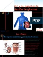 El Riñón y Glucosa