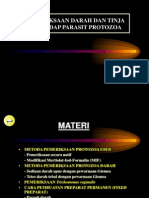 Pemeriksaan Lab Protozoa