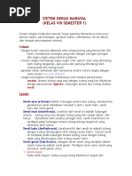 Download SISTEM GERAK MANUSIA by maryadivm SN22739167 doc pdf