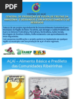 Apresentação - Central Do Açaí