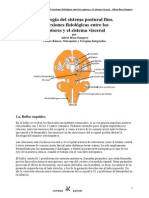 Conexiones fisiológicas entre los captores posturales y el sistema visceral