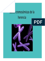 Basescromosomicas_8551