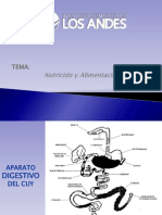 04 Nutrición y Alimentación de Cuyes