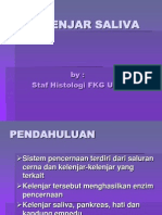 KELENJAR LUDAH