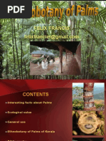 Download Tropical Palms by felixfra SN22745675 doc pdf