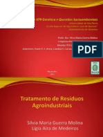 GSA-11-2013 Tratamento de Residuos Agroindustriais