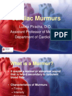 Murmur