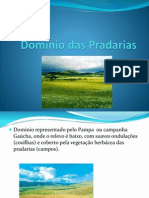Dominio Das Pradarias
