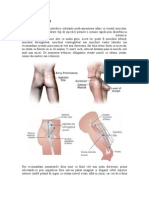 Intramuscular A