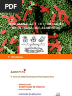 Contaminação e Deterioração de Alimentos Aula 04 Reduzida