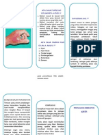 Leaflet Abses