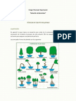 Tecnicas Del Cultivo Del Bonsai