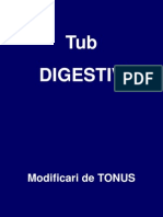 CD Leziuni Elementare - Digestiv