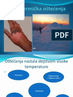 Termička Oštećenja