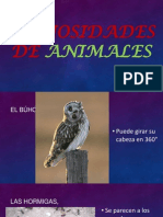 Curiosidades de Animales