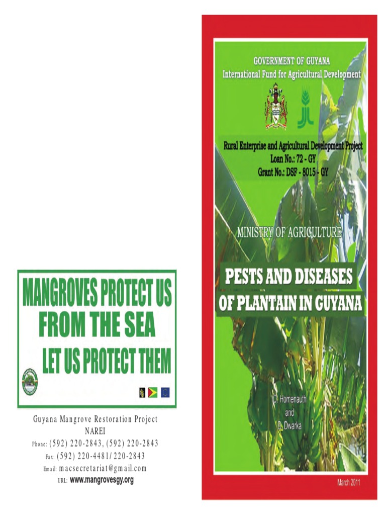 Pest Diseases of Plantain in Guyana PDF Banana Plants