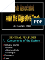 Glands Associated With Digestive-Ss
