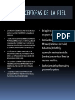 Partes Receptoras de La Piel