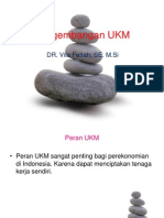 Pengembangan UKM