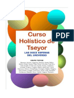Libro+CURSO+HOLISTICO+TSEYOR