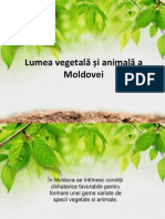 Lumea Vegetală Și Animală a Moldovei