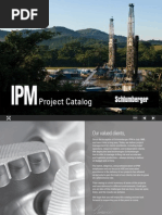 Integrated Project Managment Catalog PDF