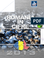 Romania in cifre 2013_ro.pdf
