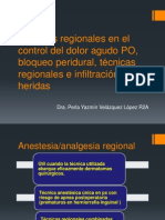 Técnicas Regionales en El Control Del Dolor Agudo