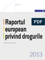 Raport European 2013