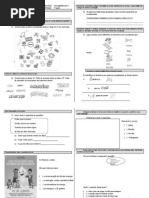 Simulado de Avaliac3a7c3a3o Diagnc3b3stica 2c2ba Ano Lp 21