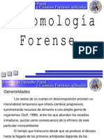 entomologa-forense-parte-1-1227053950133097-9