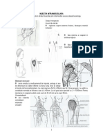 Injectia Intramusculara