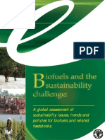 Biofuels and The Sustainability Challenge