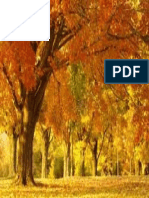 Otoño PDF