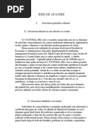 -Idee-de-afacere.doc
