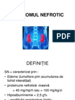 Sindrom Nefrotic