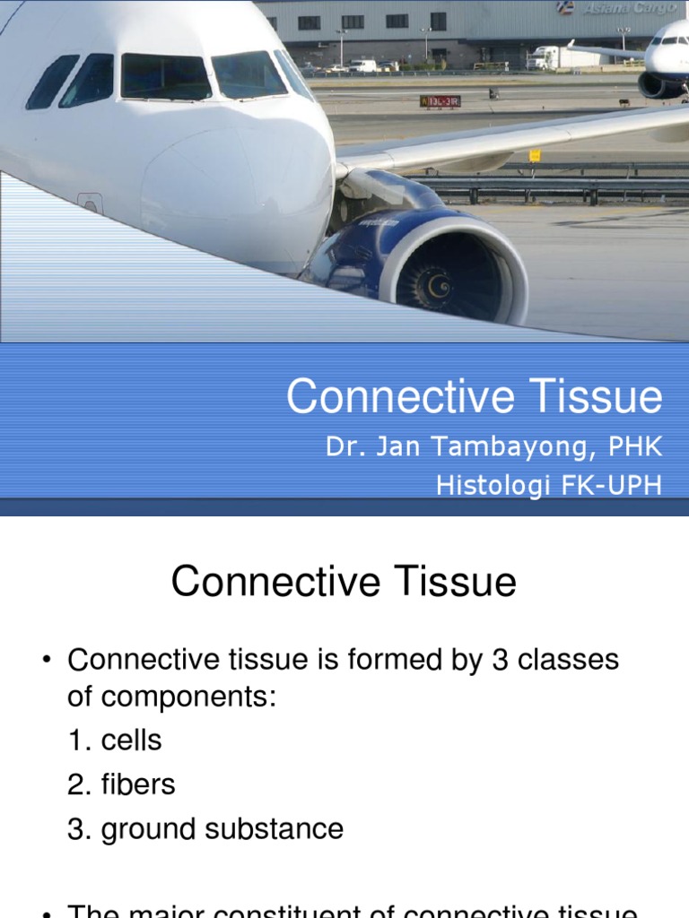 Connective Tissue: Dr. Jan Tambayong, PHK Histologi FK-UPH | PDF | Bone