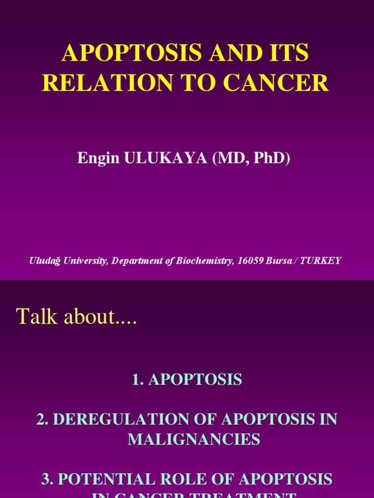 Apoptosis and Its Relation To Cancer | PDF | Bcl 2 | Apoptosis
