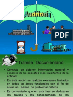 Auditoria Tramite Documentario