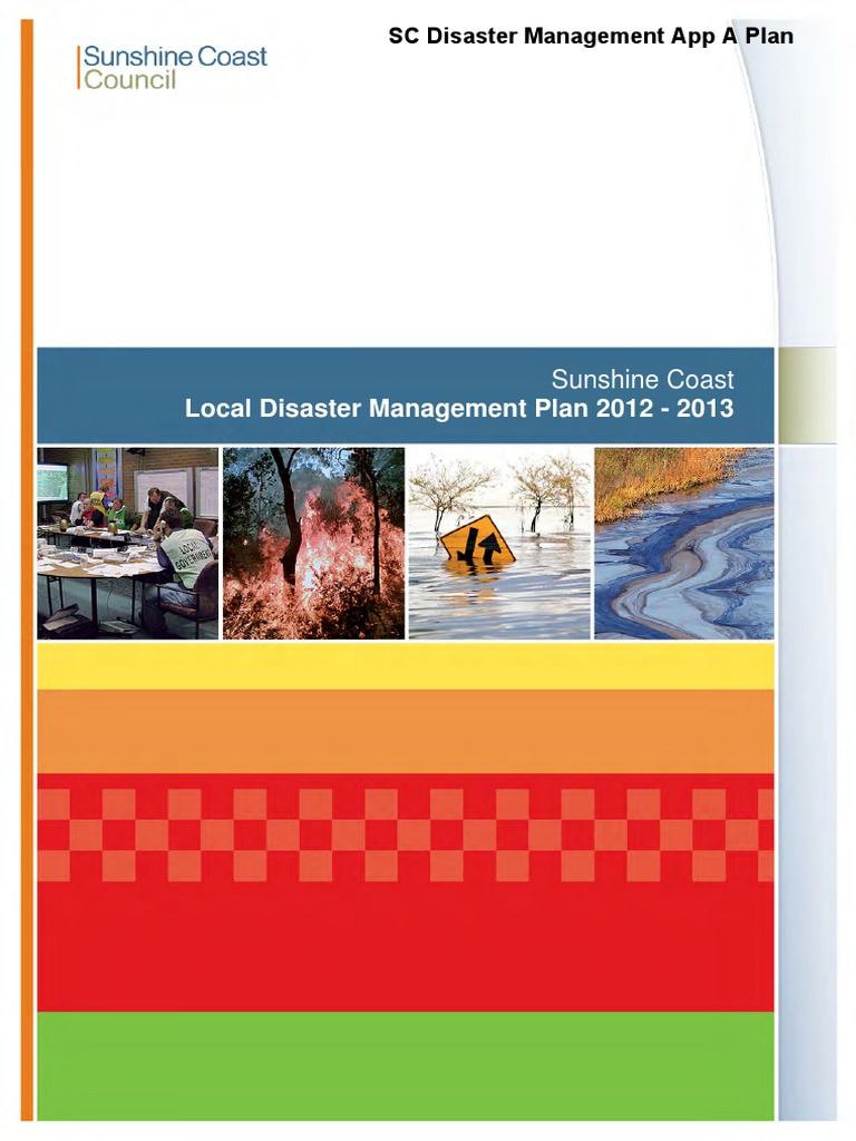 Disaster Plan | PDF | Flood | Emergency Management