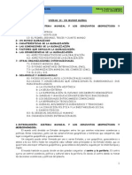 Tema 14 Un Mundo Globalizado - Desarrollo y Subdesarrollo PDF