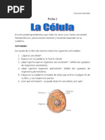 Guia de Celula Repaso 5 Basico