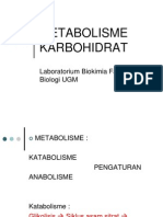 Carbohydrates II Metabolism