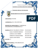 Informe#1