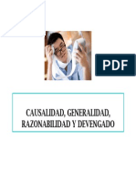 Causalida Generalidad Razonabilidad y Devengado 05022013