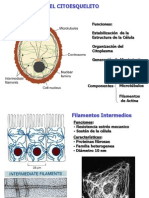 9 Citoesqueleto