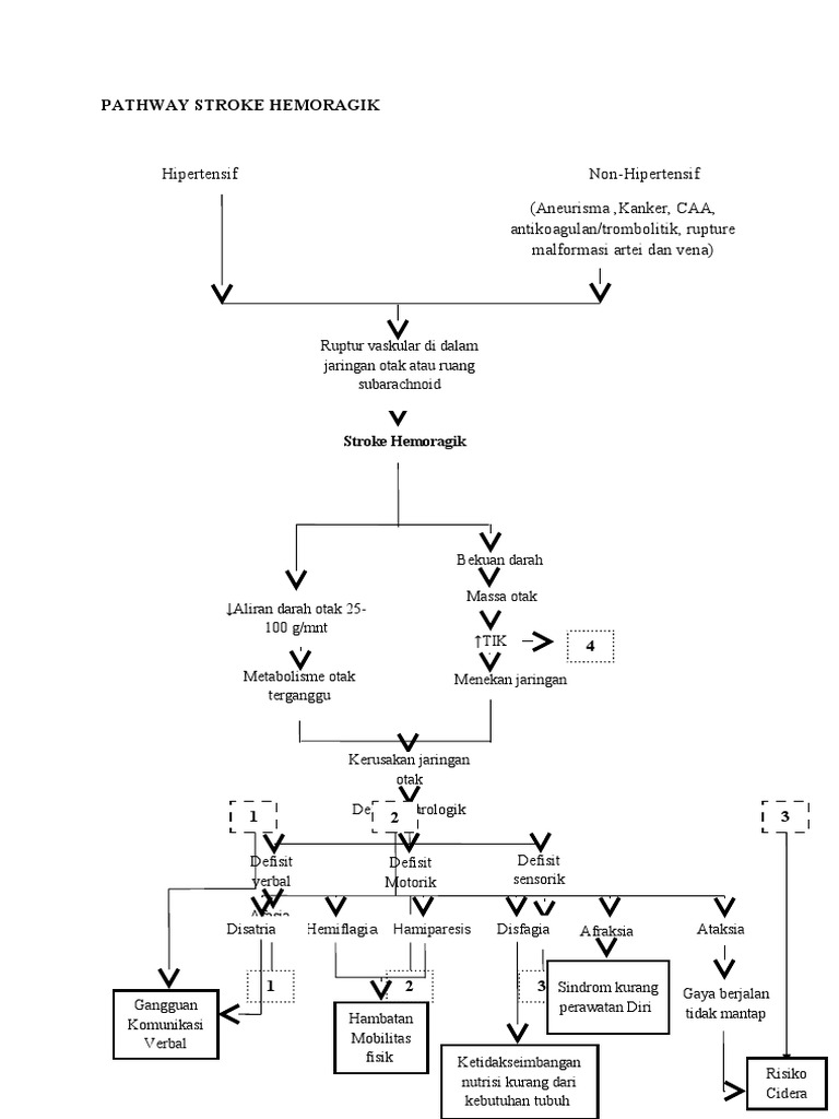 Pathway LP SH | PDF